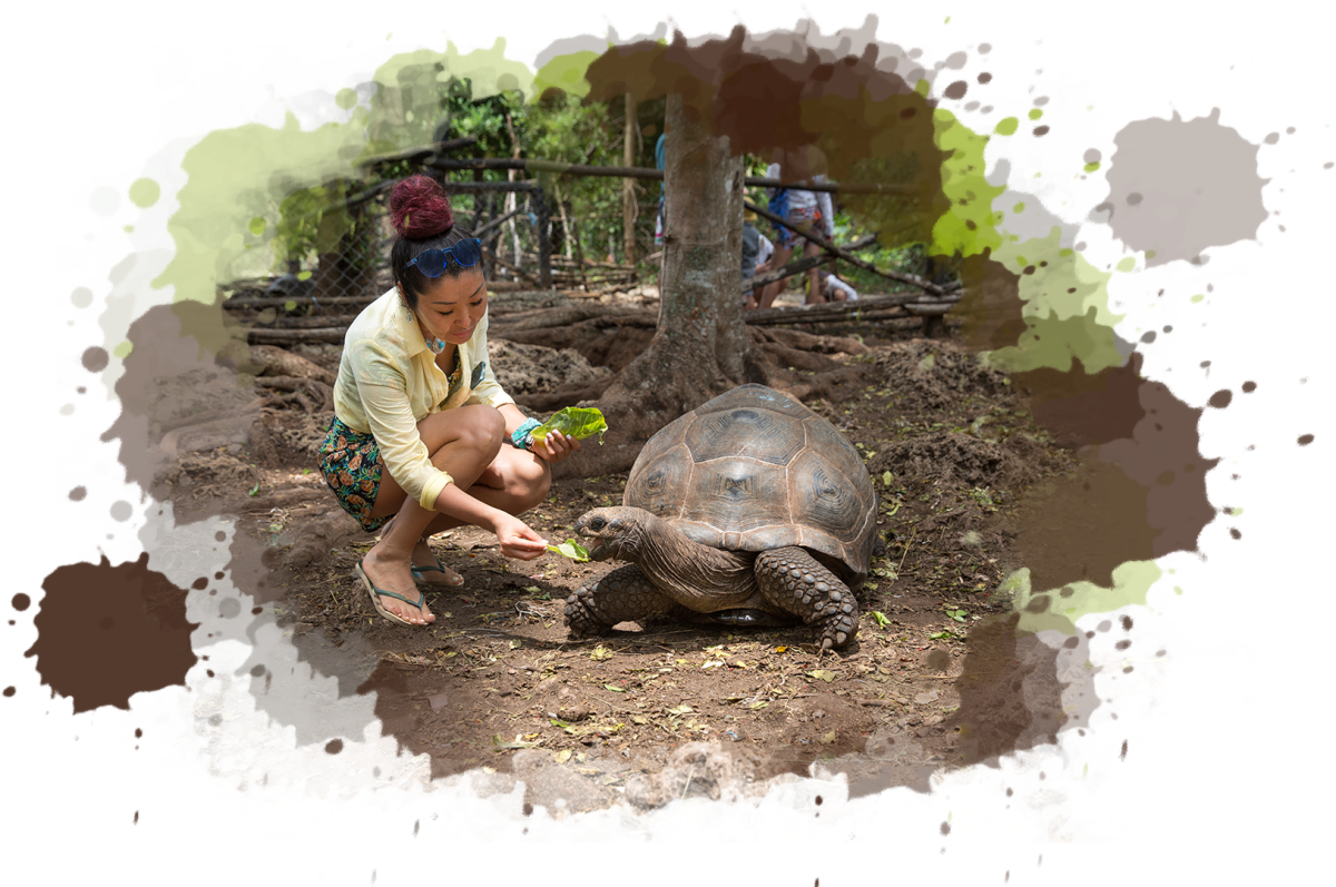 turtle a man riding on the back of a turtle