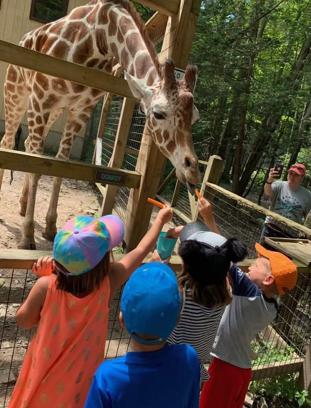 a group of people riding on the back of a giraffe